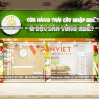 Thiết kế shop trái cây nhập khẩu và đặc sản vùng miền